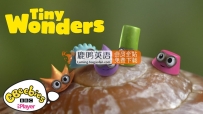 BC英文科普动画片《Tiny Wonders 小奇迹》全五季共41集，教你学会观察、探索自然界小